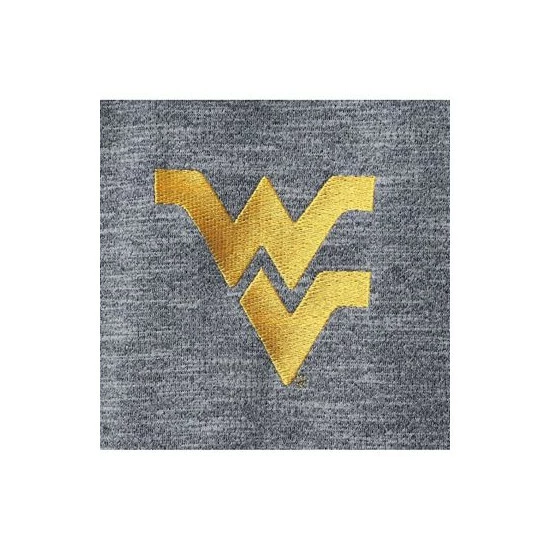 Hot Sale β€οΈ Champion Men's Navy West Virginia Mountaineers Micro Mesh Space-Dye Polo π Shirt β€οΈ - Image 2